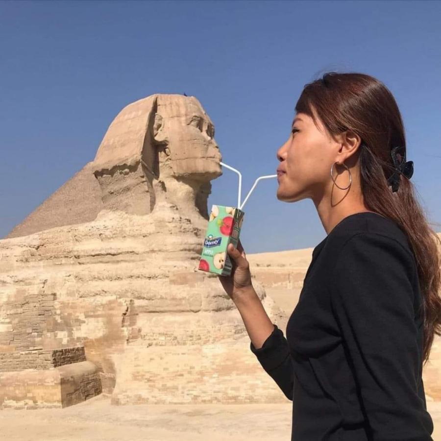 Nefertiti Pyramids View 4* Le Caire