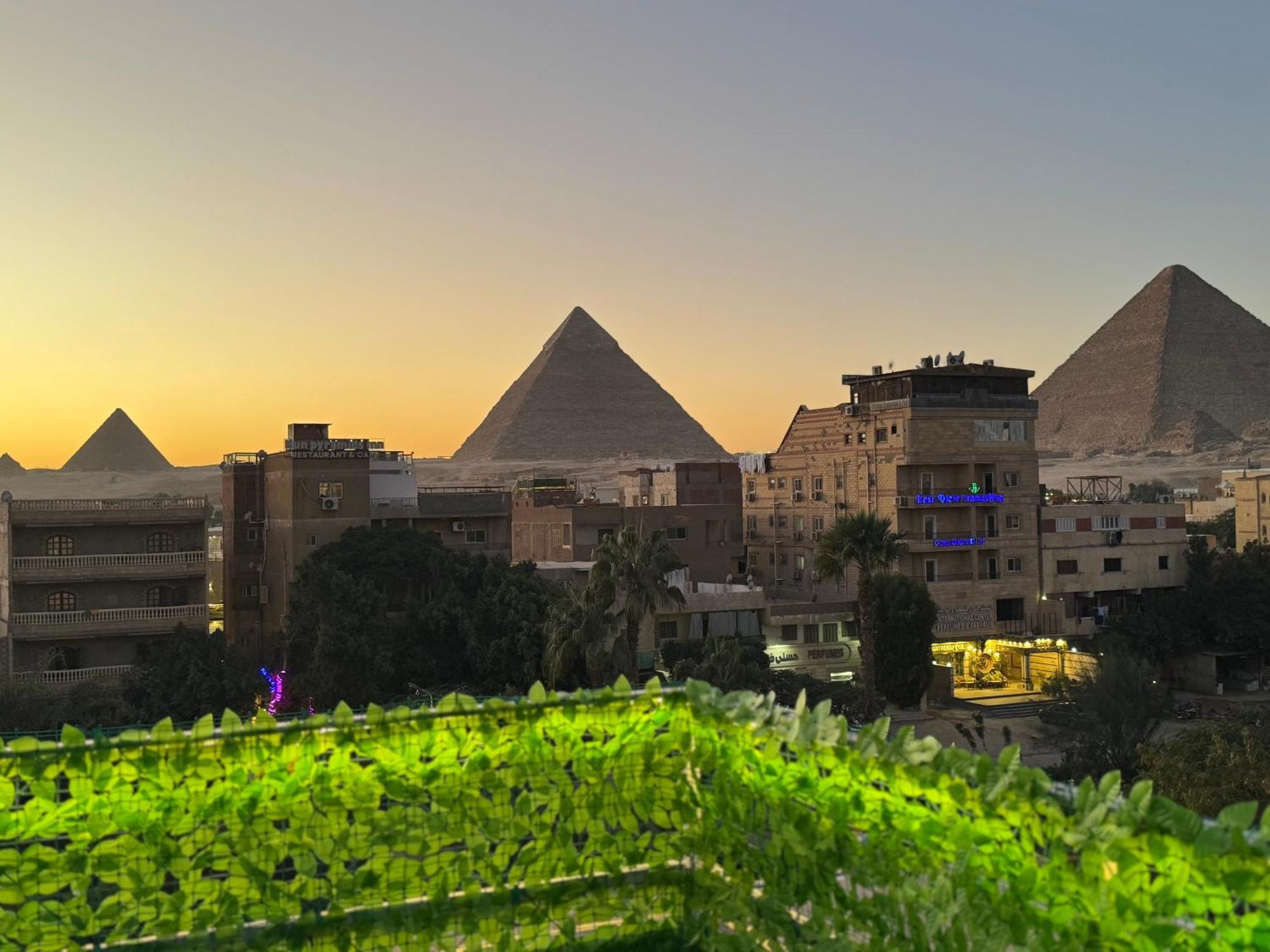 Nefertiti Pyramids View Le Caire